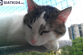 Siatki Wyszków - Siatka na balkony dla kota i zabezpieczenie dzieci dla terenów Wyszkowa